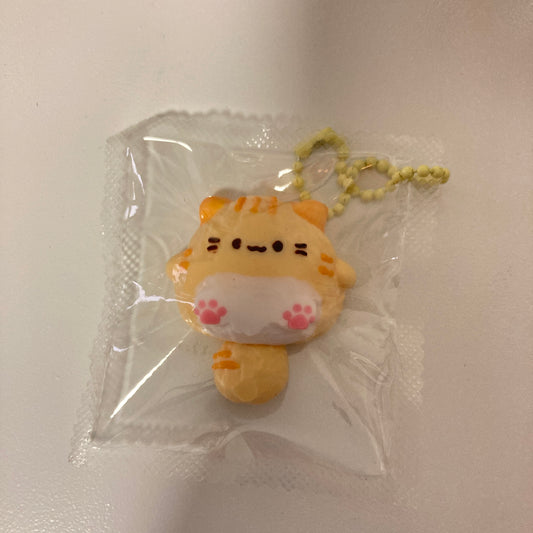 0207ミニスクイーズ　単品購入