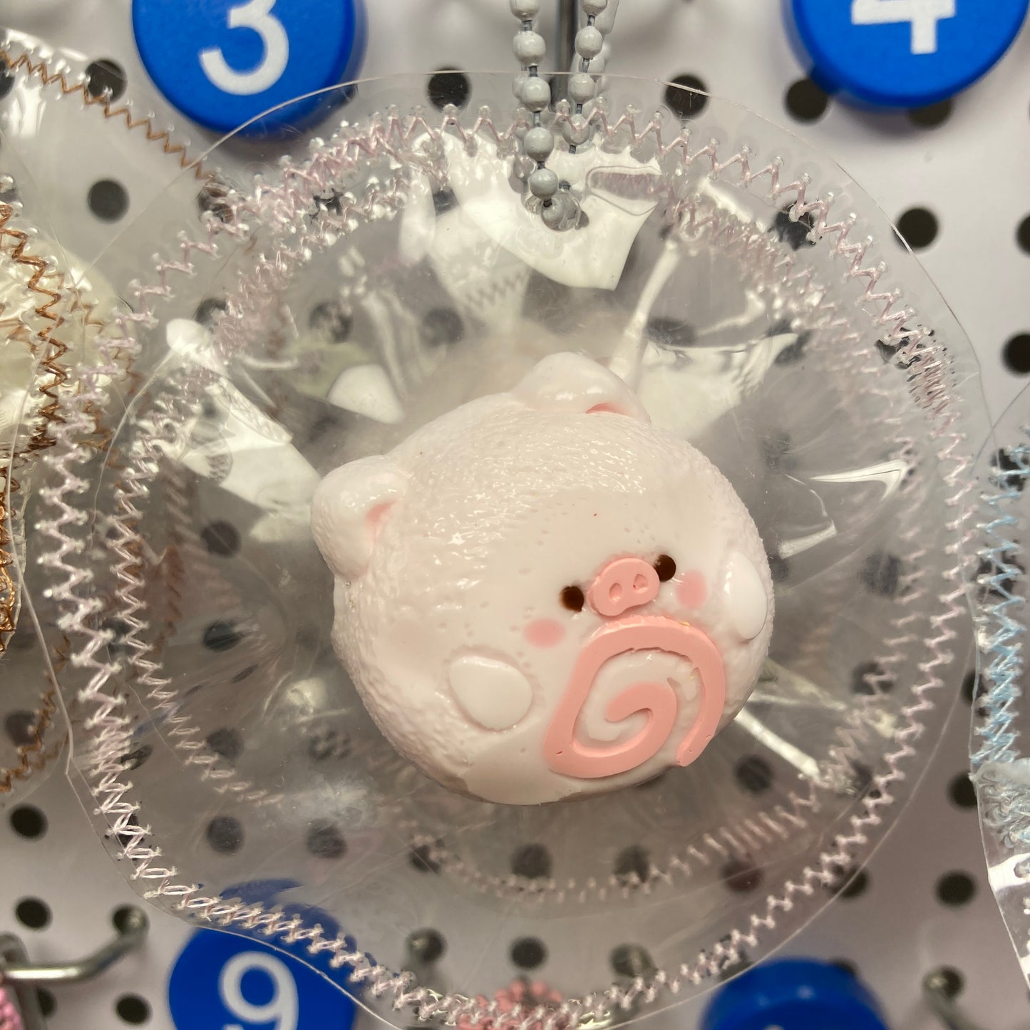 0301ミニスクイーズ　単品購入