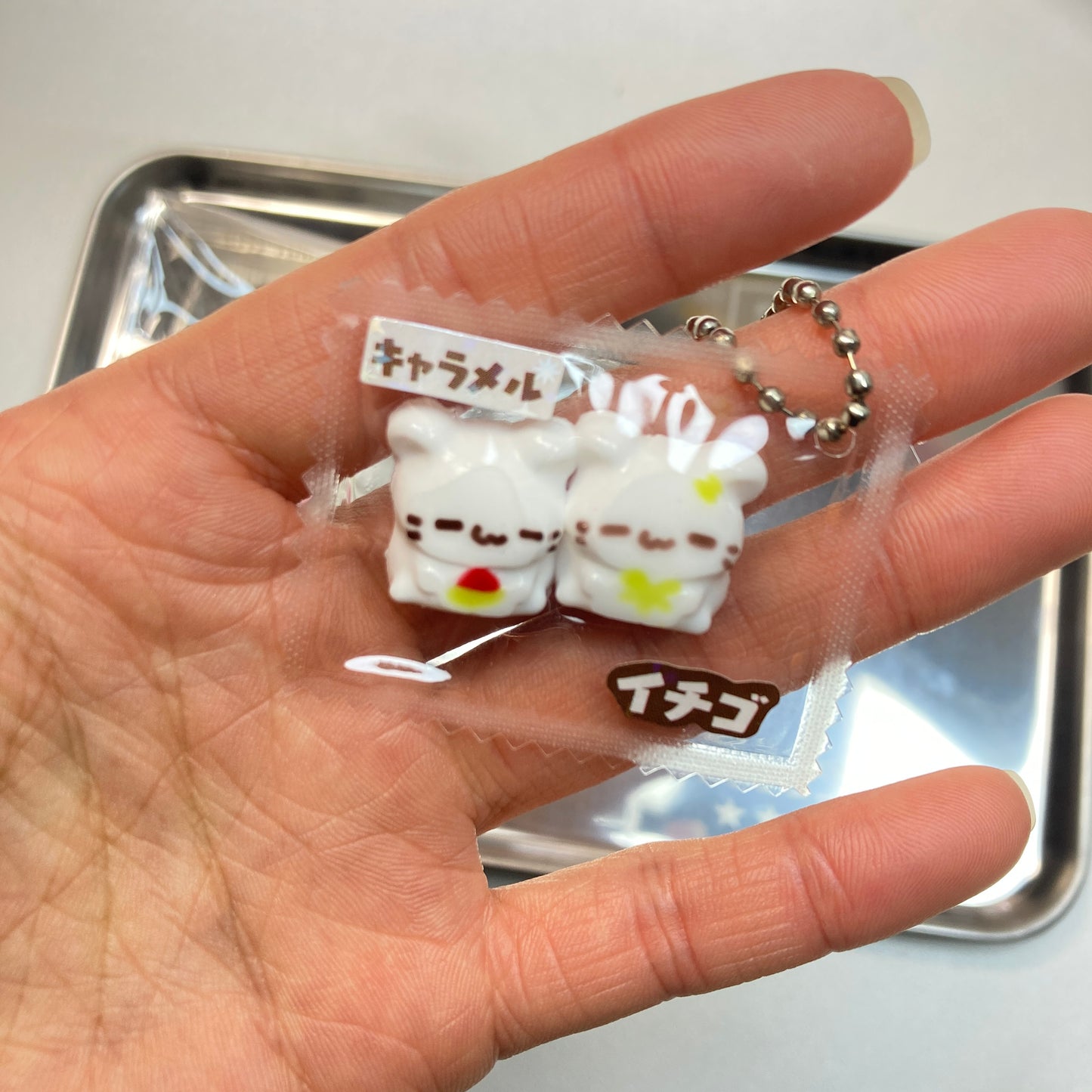 ハムスターセット