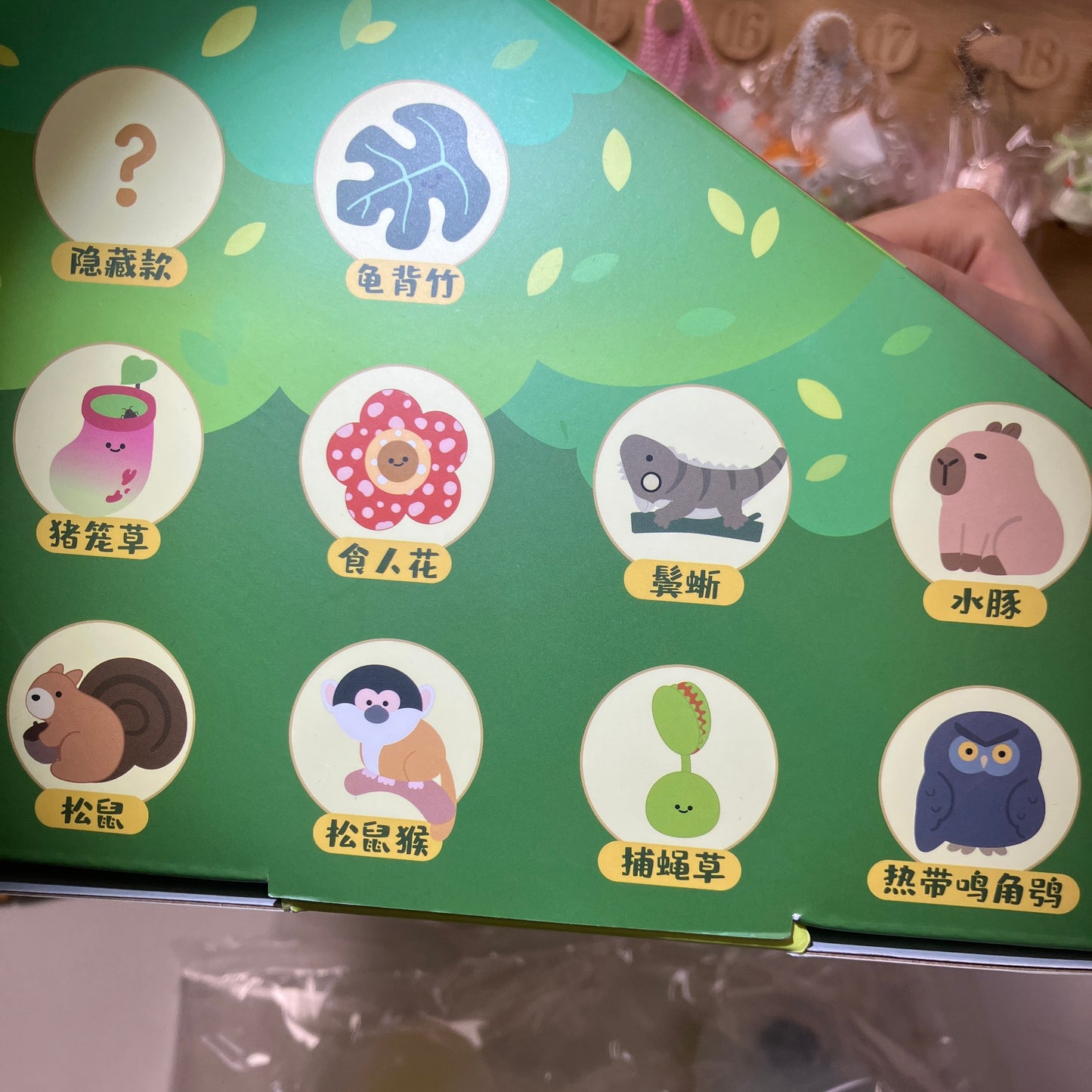 「水入りキャンディブラインド」ブラインドボックス　配信専用 ０７０4