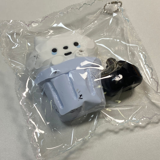 「は先生シリーズ」保護ネコちゃん